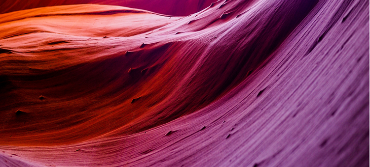 Her şey bir hayalle başlar, iradeyle devam eder!